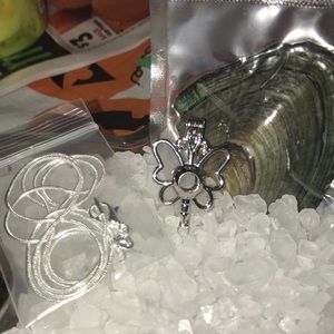 Dragonfly pearl cage with chain and oyster